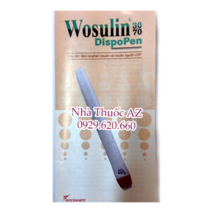 Bút tiêm insulin Wosulin