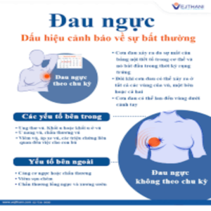 Đau ngực ngày rụng trứng